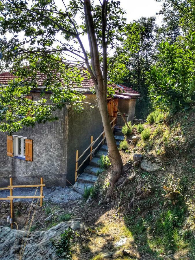 Berzuaia Bed&Breakfast Varraze Exterior foto